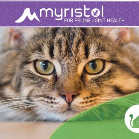myristol-product-label-feline