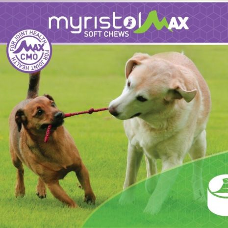 myristol-product-label-max-chews