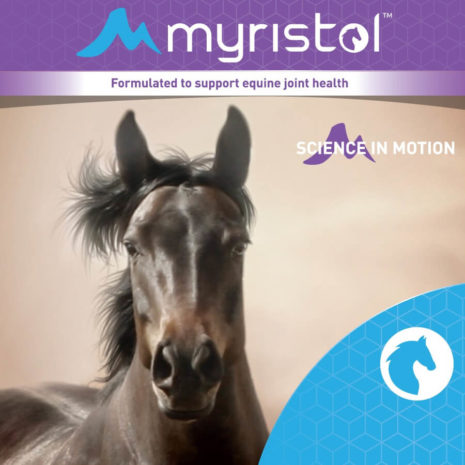 myristol-product-labels-equine