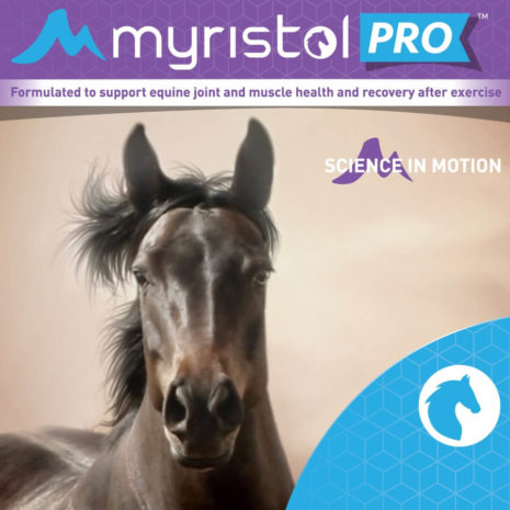 myristol-product-labels-equine-pro